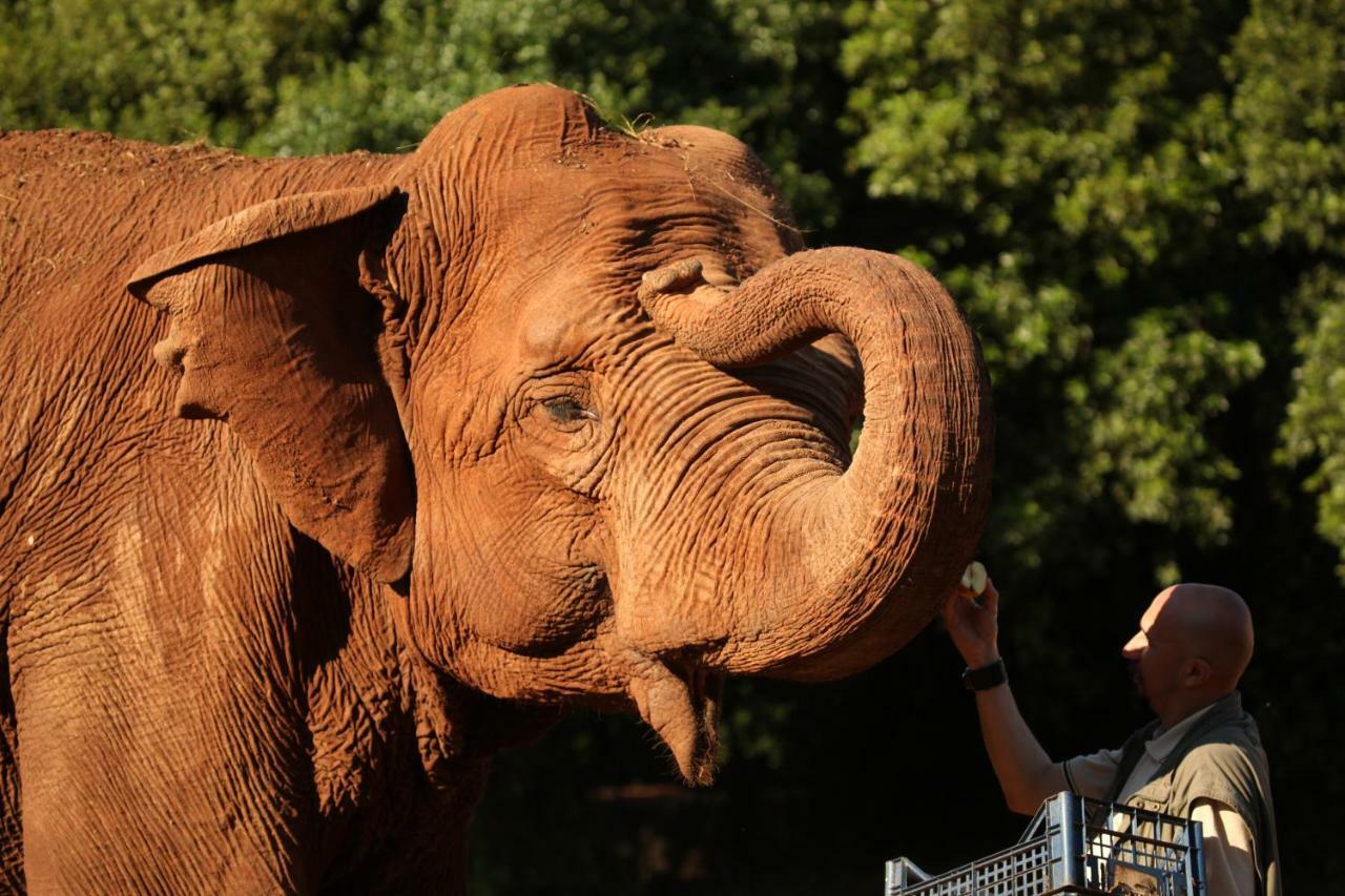 Apartments Alba ฟาชานา ภายนอก รูปภาพ